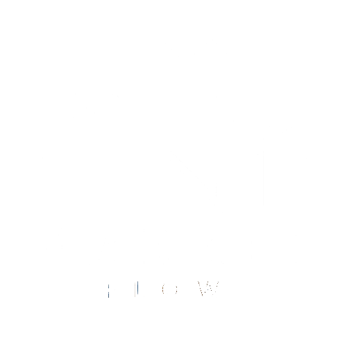 Market-Flow logo